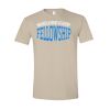 Softstyle® T-Shirt Thumbnail